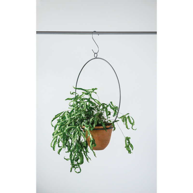 Gracie Oaks Slatington Hanging Planter & Reviews Wayfair